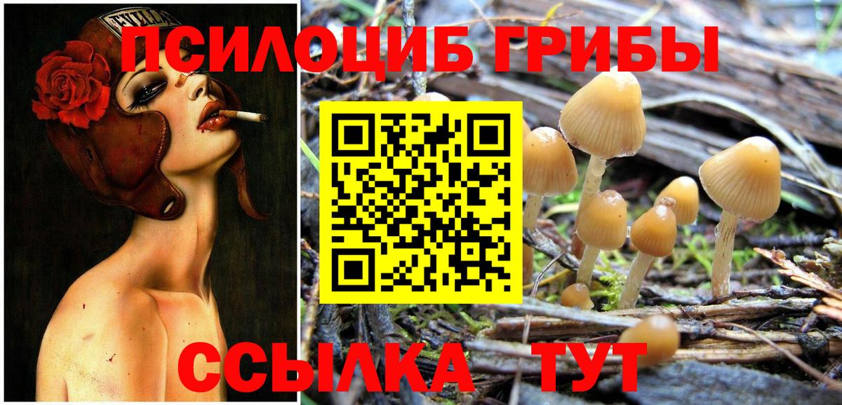 Гуково  купить закладку  Вход с VPN  Галлюциногенные грибы Magic Shrooms 
